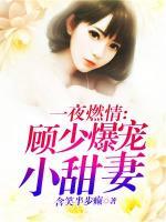一夜燃情,顾少爆宠小甜妻