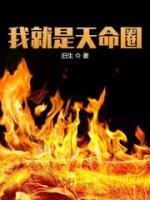 高枭洛灵小说阅读