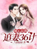 暖心总裁:追妻36计