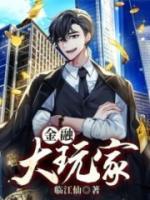 金融大玩家小说阅读