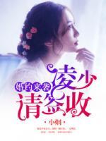 婚约来袭:凌少请签收