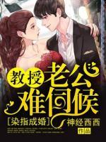 珠玑小说网 染指成婚，教授老公难伺候