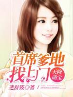 天降萌宝：首席爹地找上门