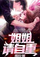姐姐，请自重小说阅读