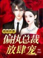 错嫁娇妻:偏执总裁放肆宠