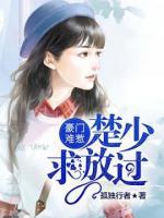 豪门难惹:楚少,求放过小说阅读