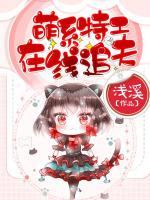 萌系特工,在线追夫