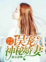 冷少止步:误宠神秘娇妻