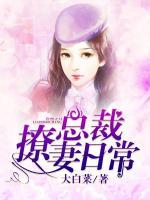总裁撩妻日常小说阅读