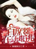 律政辣妻:首席在劫难逃