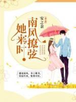 她来时,南风撩弦