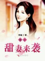 贺少，甜妻来袭小说阅读