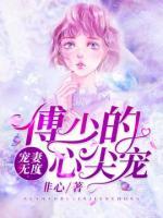 宠妻无度:傅少的心尖宠