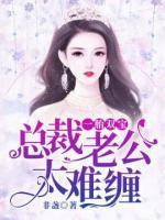 一胎双宝:总裁老公太难缠