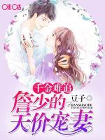 詹先生，结婚否小说阅读