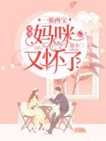 一胎两宝:爹地,妈咪又怀了?