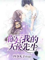 你好,我的天使先生