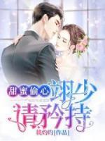 甜蜜偷心:翊少请矜持