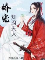 娇宠知府夫人小说阅读