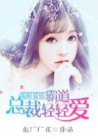 限时爱情,霸道总裁轻轻爱