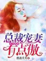 步步陷情,总裁宠妻有点傲