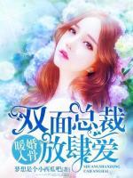 暖婚入骨:双面总裁放肆爱