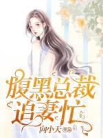 腹黑总裁追妻忙小说阅读