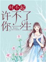对不起,许不了你一生