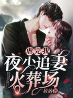 虐完我,夜少追妻火葬场