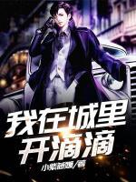 我在城里开滴滴小说阅读