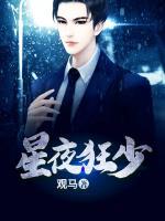星夜狂少小说阅读