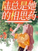 苏念陆墨霆
