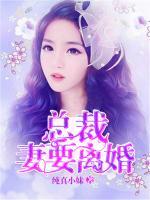 总裁，妻要离婚小说阅读