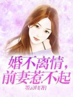 婚不离情,前妻惹不起