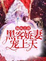 偏执总裁,黑客娇妻宠上天