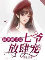 娇妻撩又甜：七爷，放肆宠小说阅读
