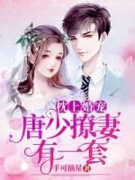 枕上婚宠:唐少撩妻有一套