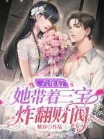 夏西西夜霆枭小说阅读