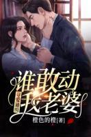 陆青棠傅樾小说阅读