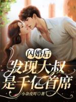 苏一点墨林锡小说阅读