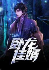 纪少龙林芷晴卧龙佳婿