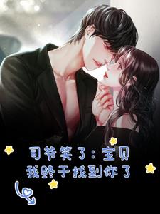 司爷笑了宝贝我终于找到你了(沈月凝)