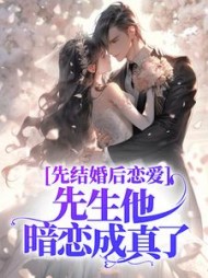 先结婚后恋爱，先生他暗恋成真了小说阅读