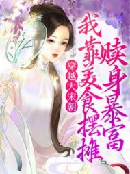 穿越大宋朝，我靠美食摆摊赎身暴富小说阅读