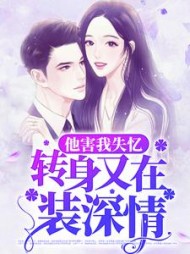 盛淮安边关月小说阅读