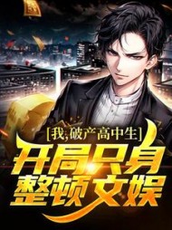 我破产高中生开局只身整顿文娱小说阅读