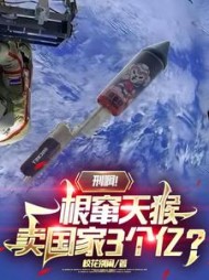 刑啊一根窜天猴卖国家3个亿(林北)小说阅读