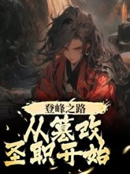 登峰之路，从篡改圣职开始赵凡小说阅读
