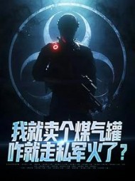 我就卖个煤气罐,咋就走私军火了?