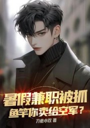 暑假兼职被抓，鱼竿你卖给空军小说阅读